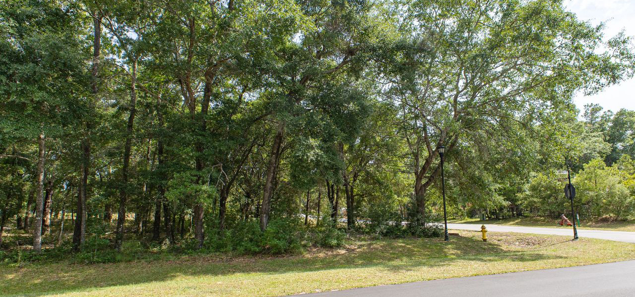 2008 Healing Water Lane (Lot available for custom build)